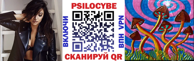 Псилоцибиновые грибы GOLDEN TEACHER  Купить где  Удачный 